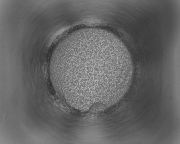 X0000076061016200610201942