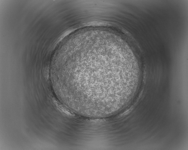 X0000076061017200610201942