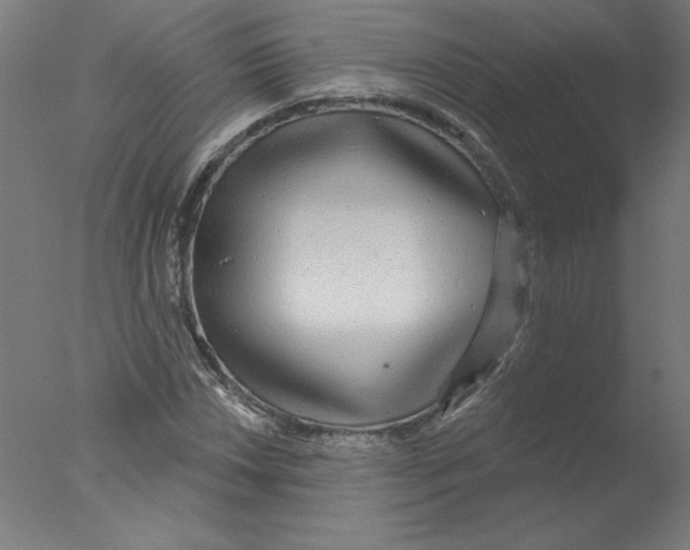 X0000076061018200610201942