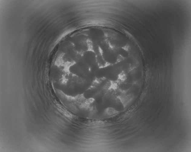 X0000076061019200610201942