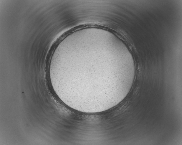 X0000076061020200610201942