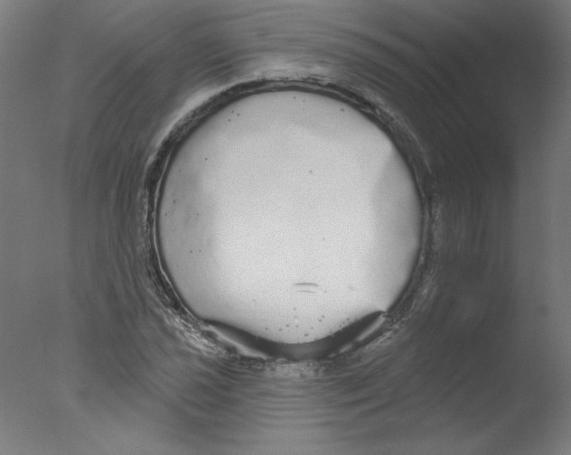 X0000076061021200610201942