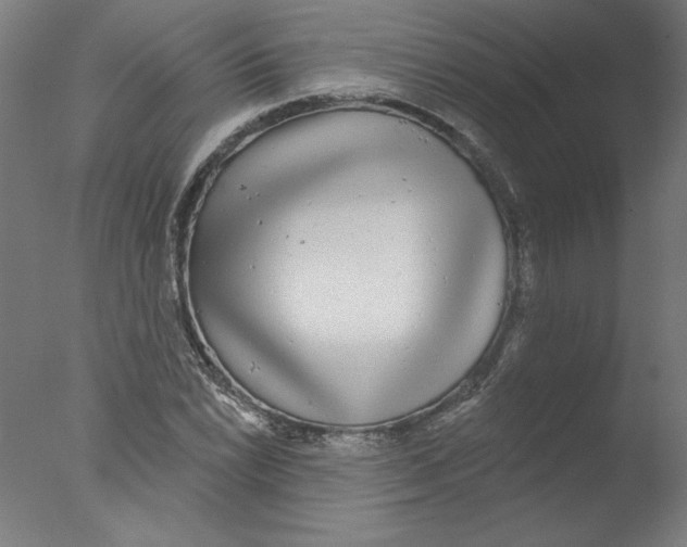 X0000076061022200610201942