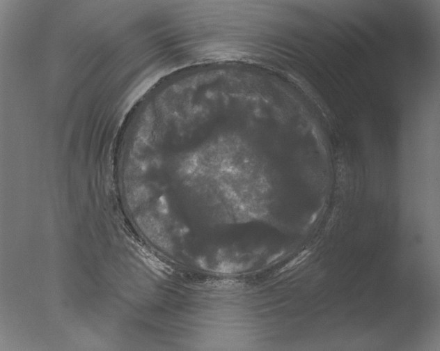 X0000076061023200610201942