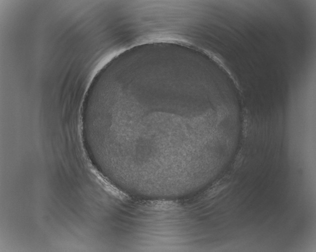 X0000076061024200610201942