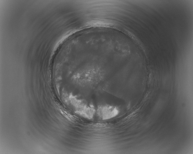 X0000076061027200610201943