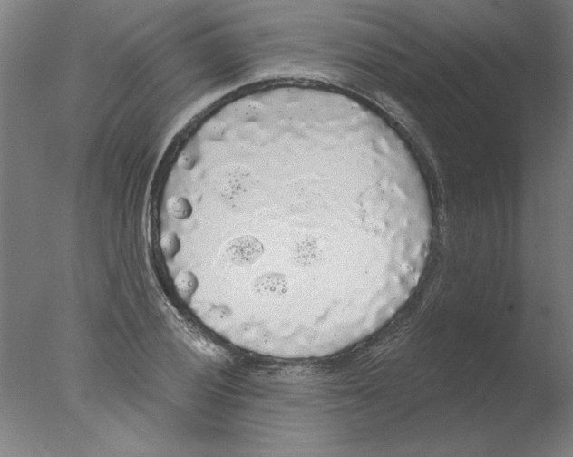 X0000076061028200610201943