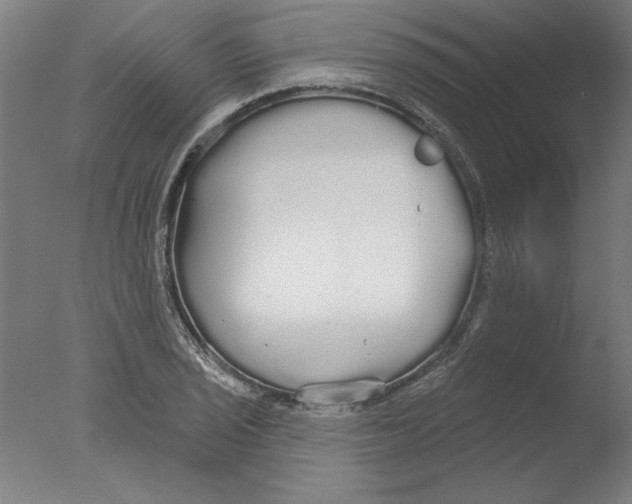 X0000076061029200610201943