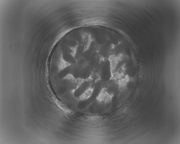 X0000076061031200610201943