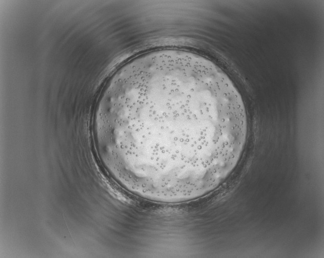 X0000076061033200610201943