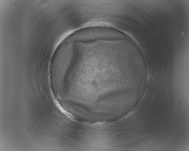 X0000076061038200610201943