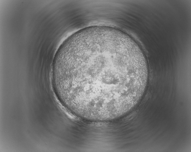 X0000076061040200610201943