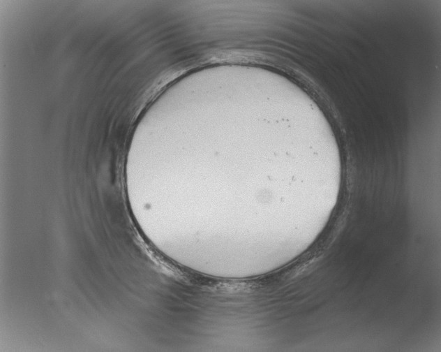 X0000076061041200610201943