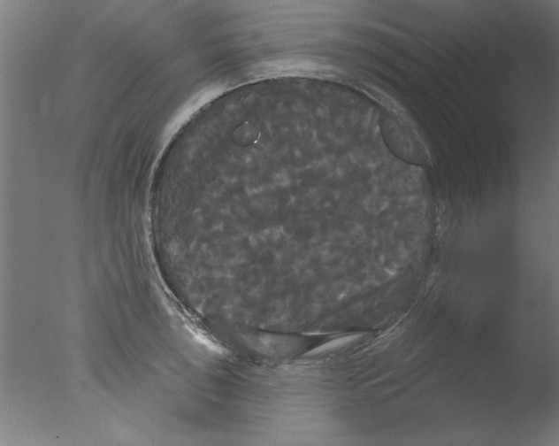 X0000076061043200610201943