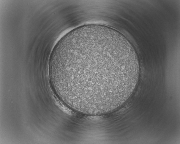 X0000076061044200610201943