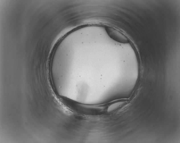 X0000076061045200610201943