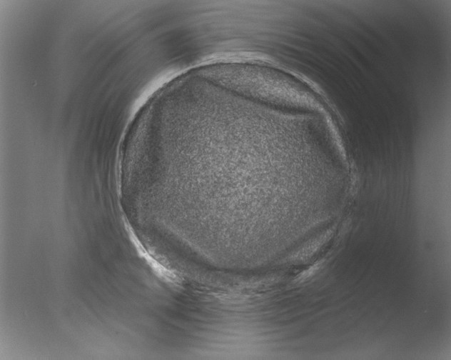 X0000076061046200610201943