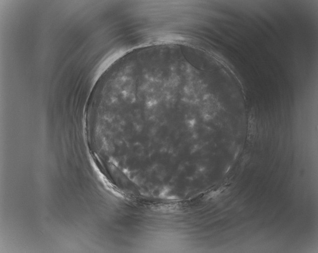 X0000076061047200610201943