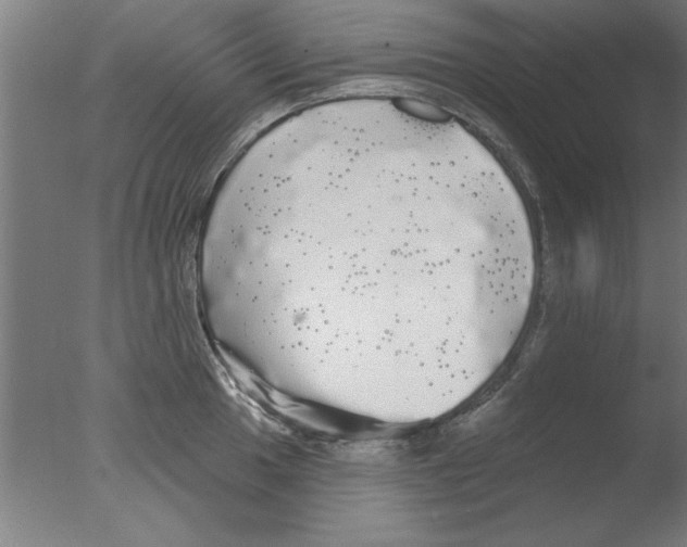 X0000076061049200610201943