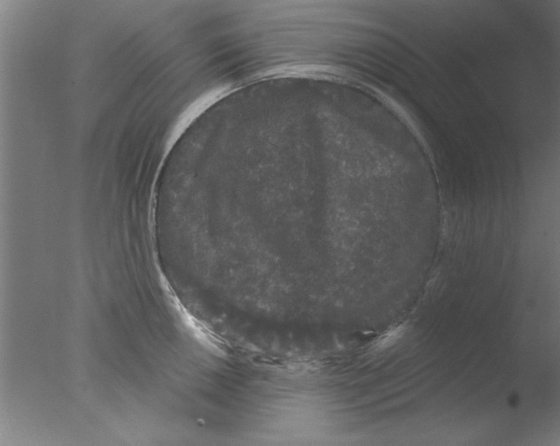 X0000076061050200610201943