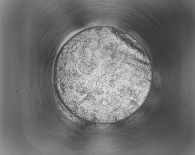 X0000076061052200610201943