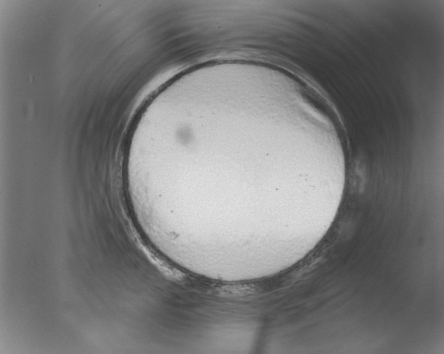 X0000076061053200610201943