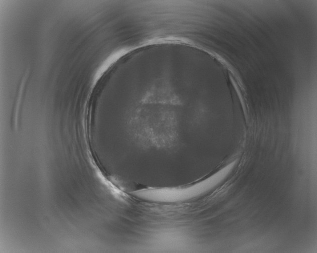 X0000076061054200610201943