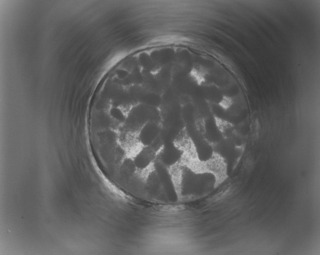 X0000076061055200610201943