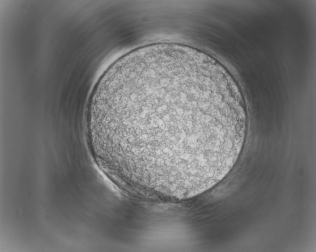 X0000076061056200610201943