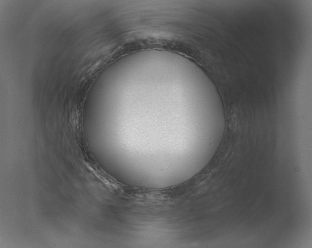 X0000076061061200610201942