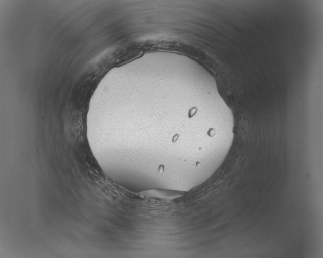 X0000076061062200610201942