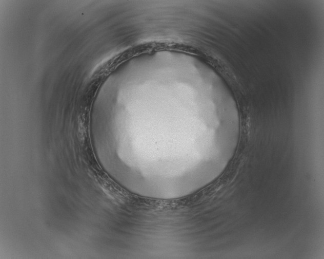 X0000076061064200610201942