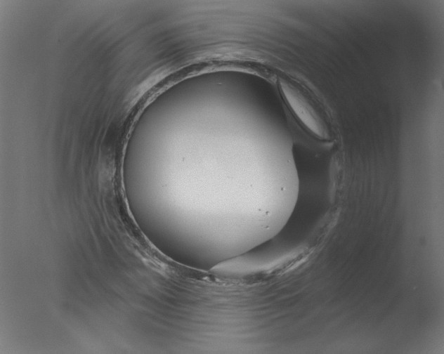 X0000076061065200610201942