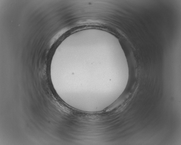 X0000076061066200610201942