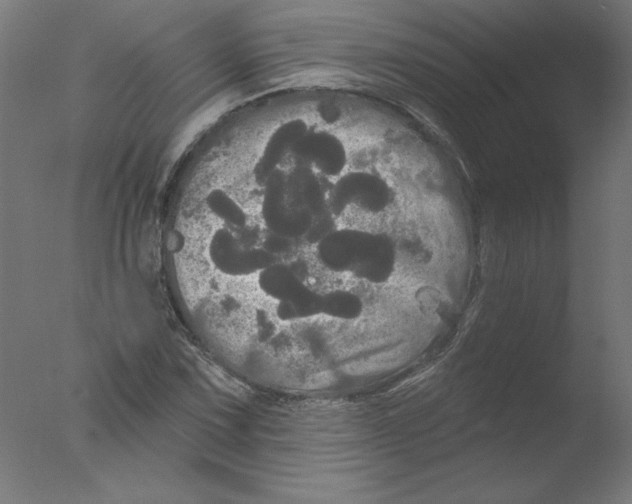 X0000076061067200610201942