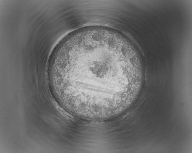 X0000076061068200610201942