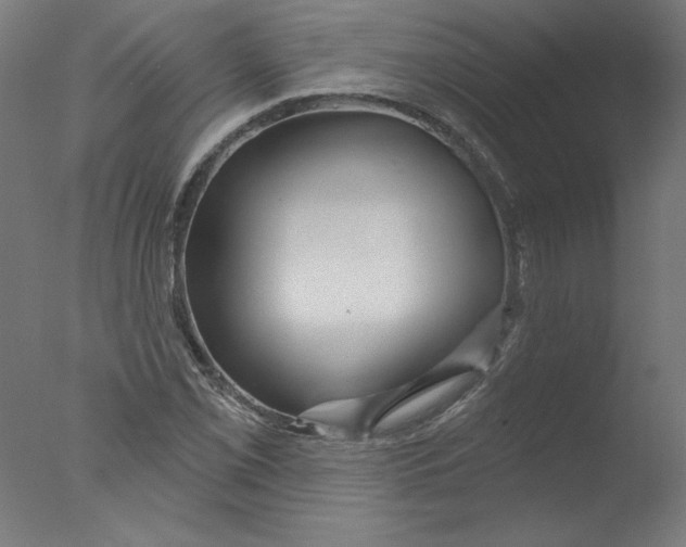 X0000076061069200610201942