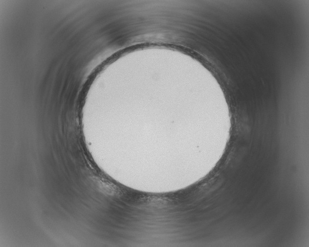 X0000076061070200610201942