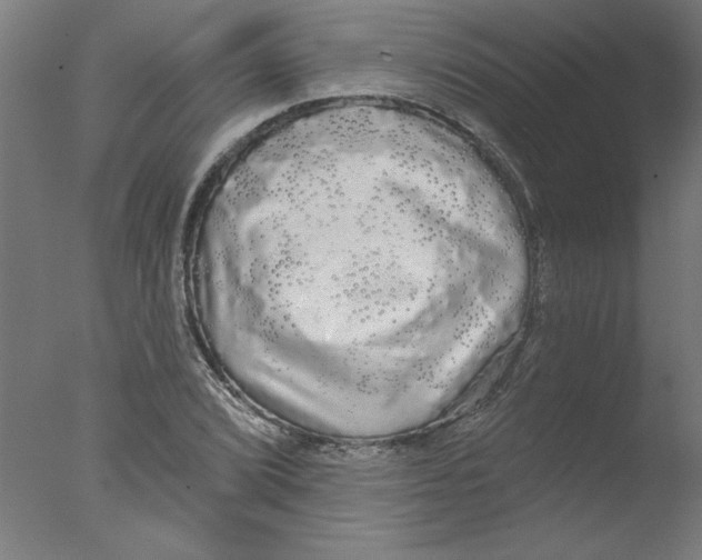 X0000076061072200610201942