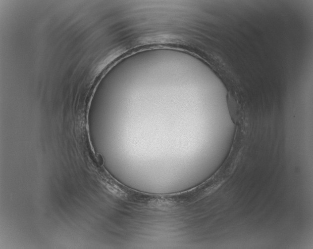 X0000076061073200610201942