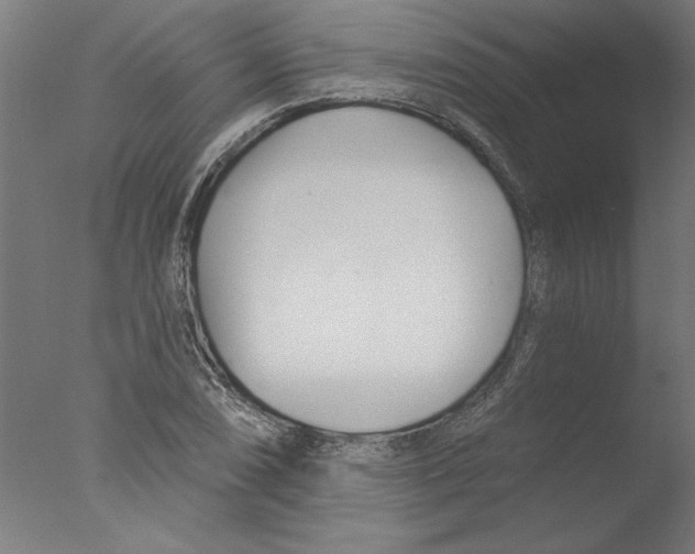 X0000076061074200610201942