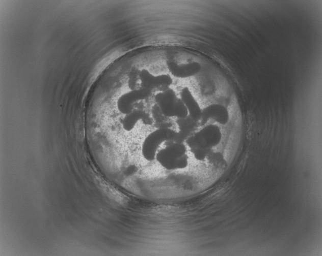 X0000076061075200610201942