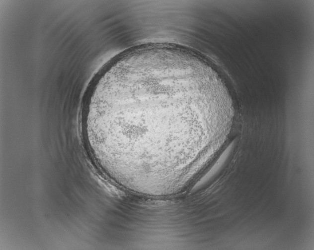 X0000076061076200610201942