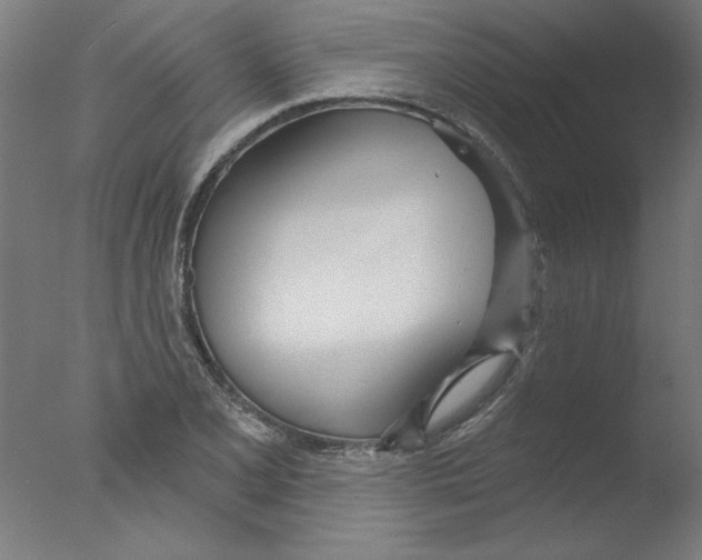 X0000076061077200610201942