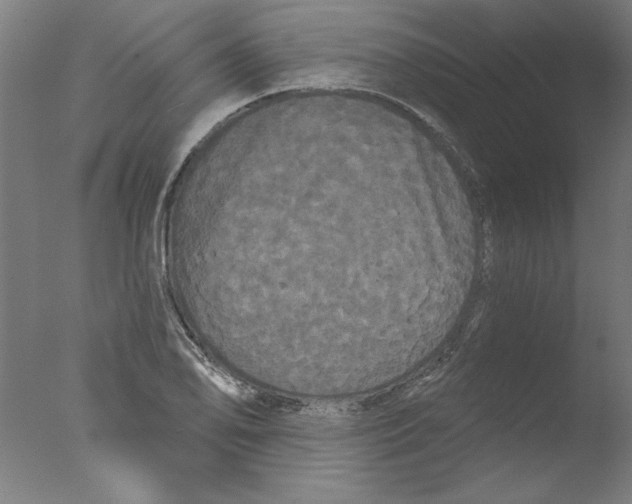 X0000076061078200610201942