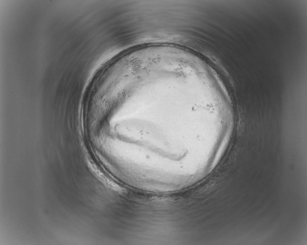 X0000076061080200610201942