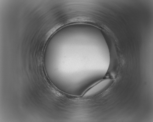 X0000076061081200610201942