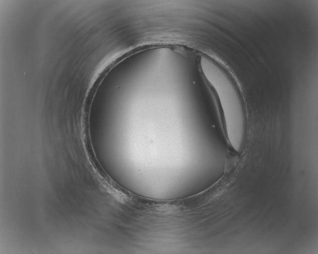 X0000076061085200610201942