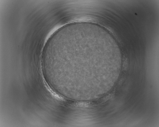 X0000076061086200610201942