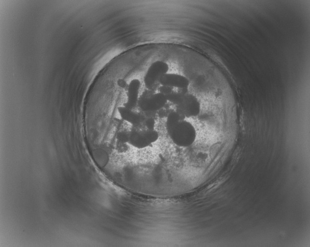 X0000076061087200610201942